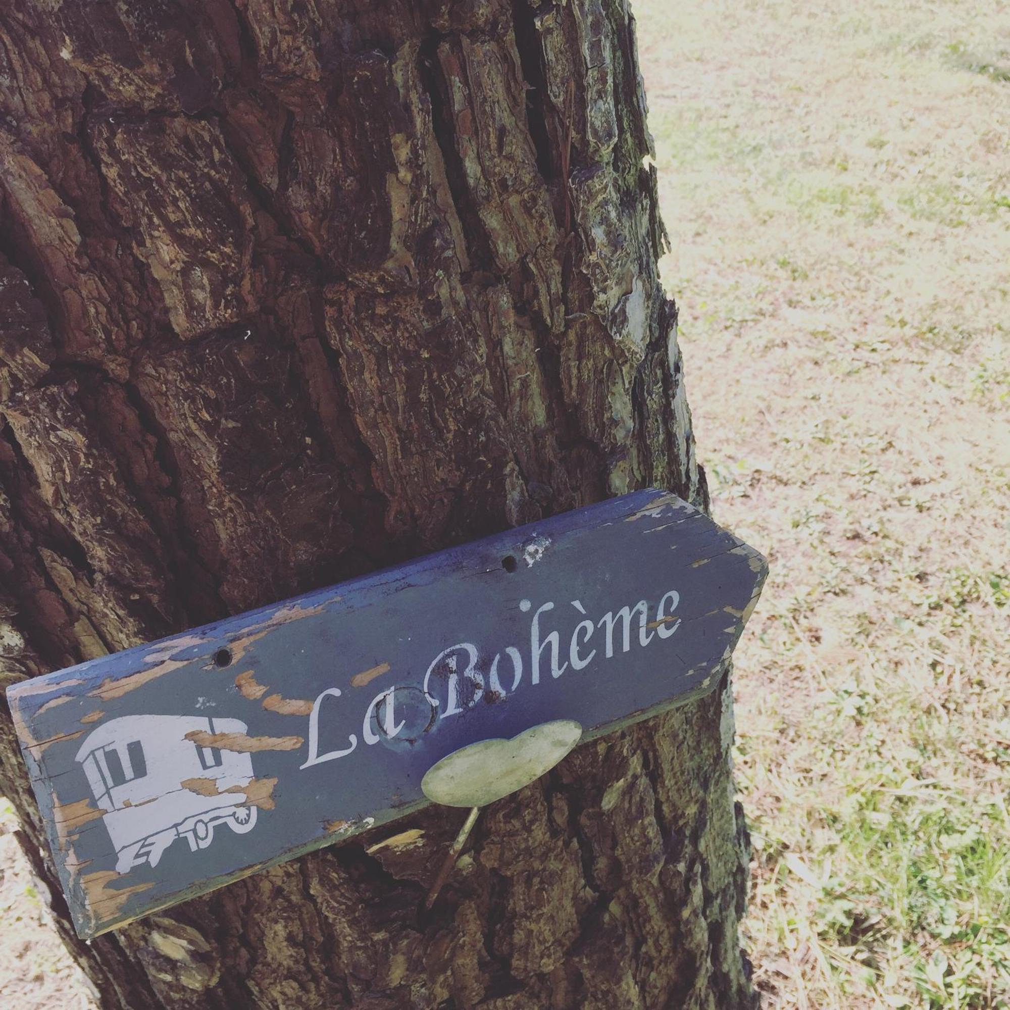 Mas La Pauline Gites De Charme & Roulotte Saint-Remy-de-Provence Phòng bức ảnh
